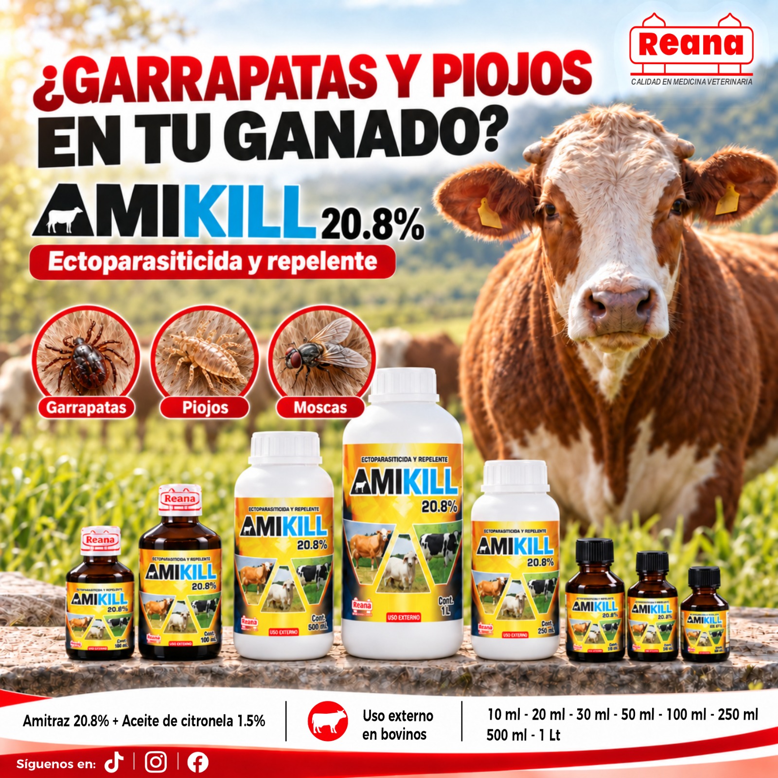 Banner de Amikill 20.8% proporcionado por REANA