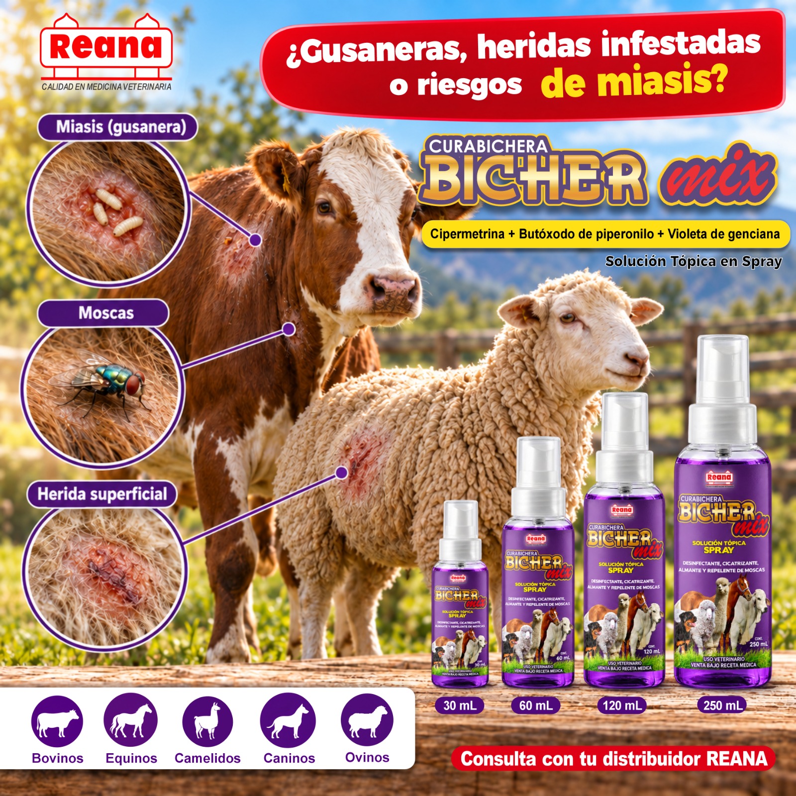 Banner de Bicher mix proporcionado por REANA