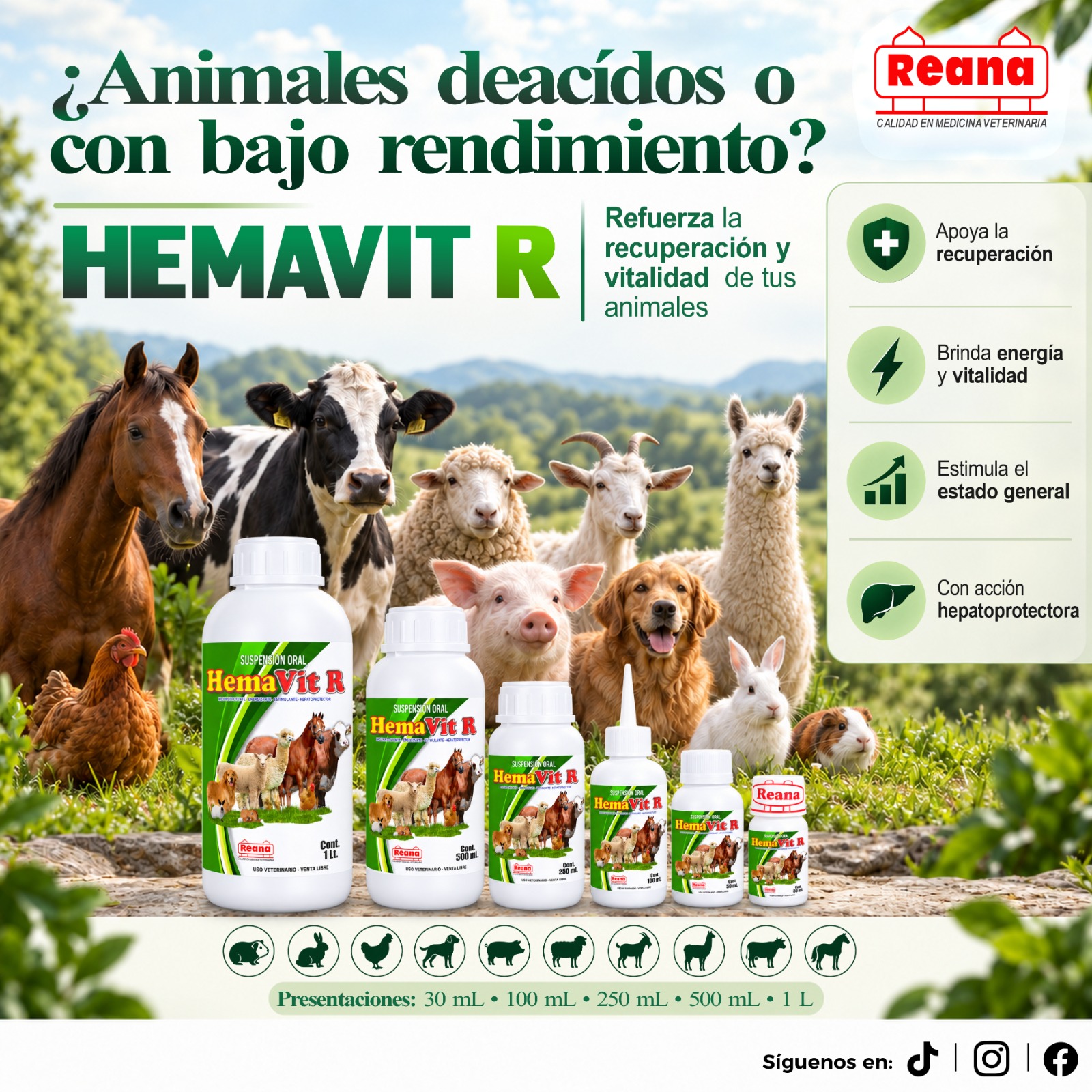 Banner de HemaVit R proporcionado por REANA