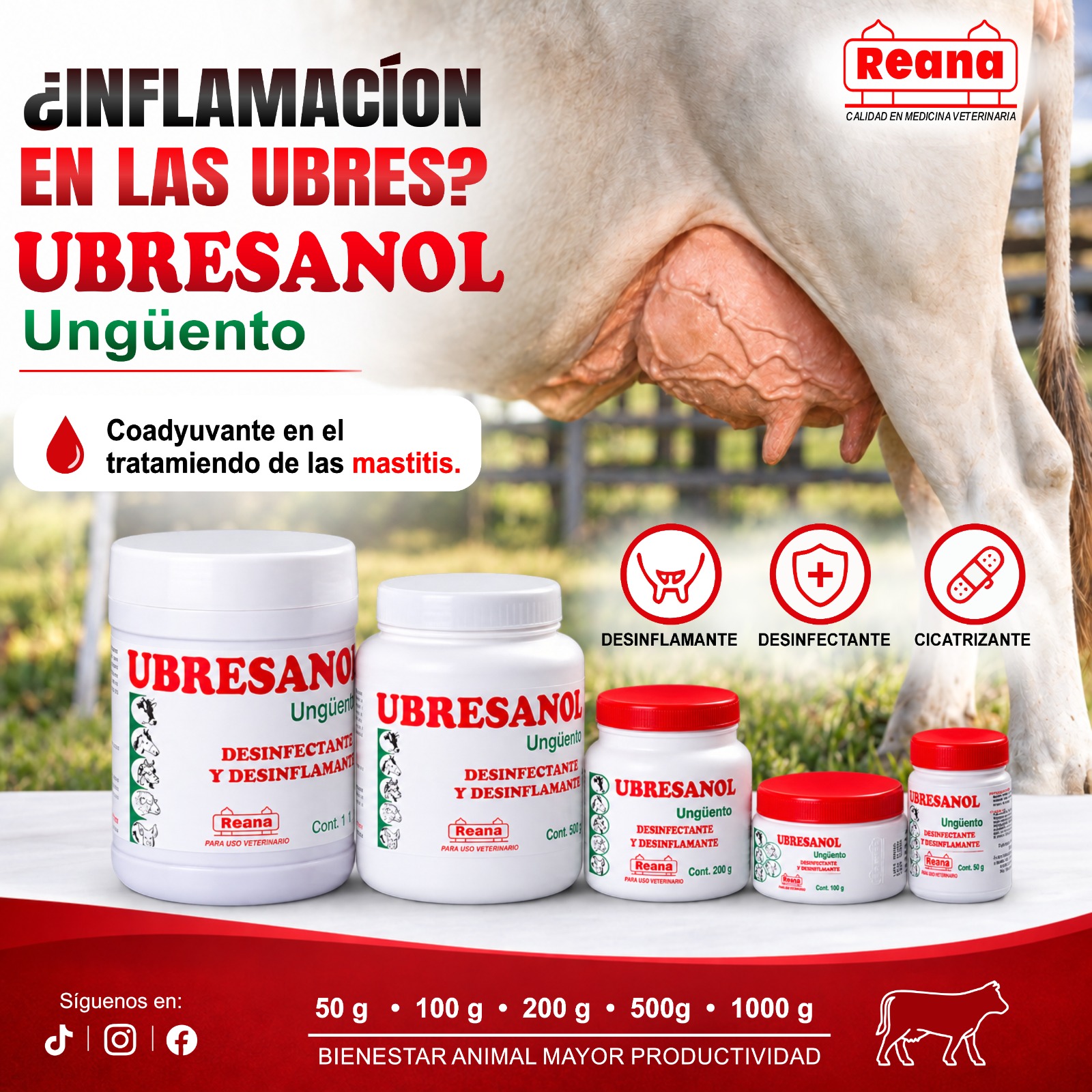 Banner de Ubresanol proporcionado por REANA